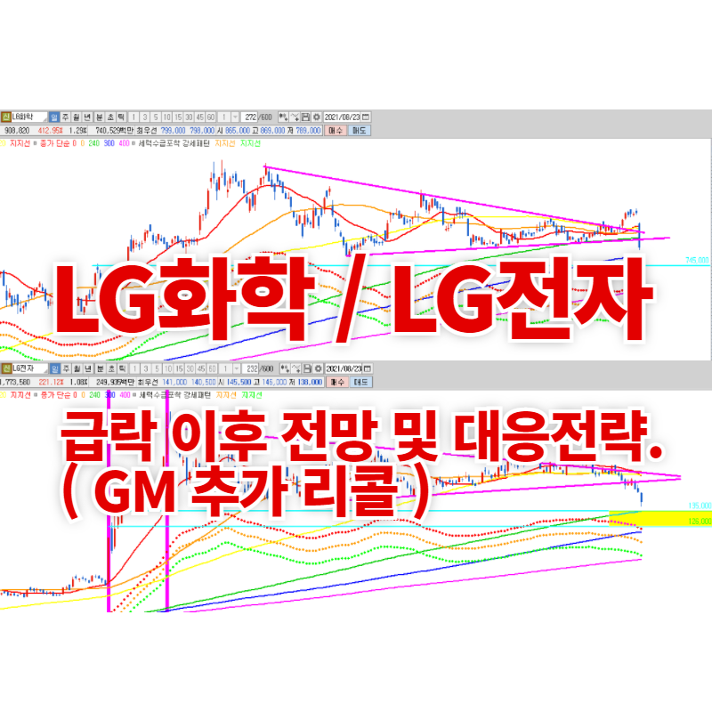  LG화학 LG전자 급락 이후 전망 및 대응전략. ( GM 추가 리콜 )
