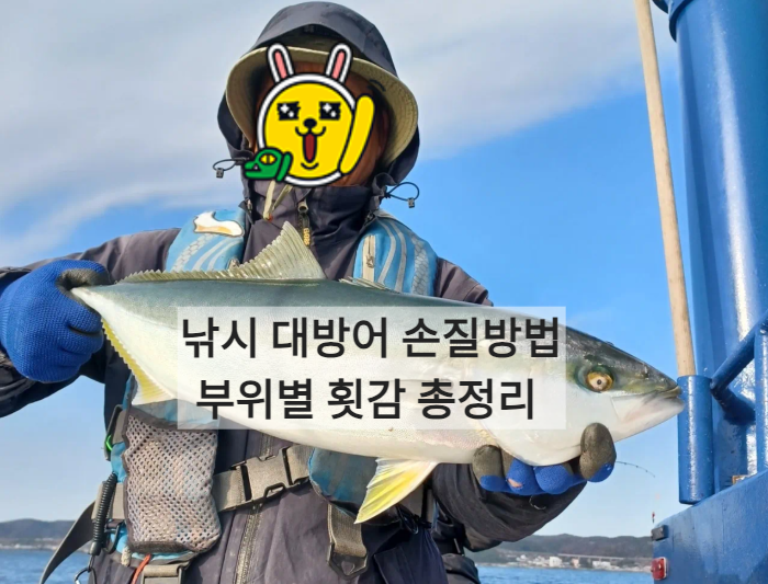 제철 낚시 대방어 집에서 직접 숙성 방어 필렛 손질 방법 및 맛있게 먹는 방법, 월별 시즌 어종 총정리