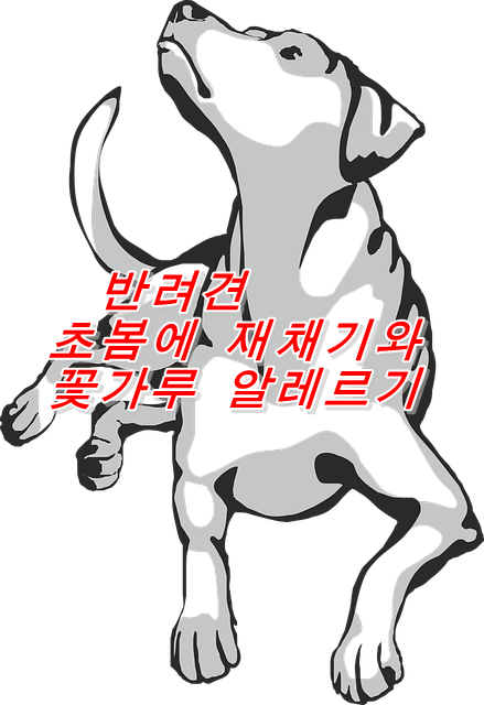  반려견 초봄 재채기와  꽃가루 알레르기
