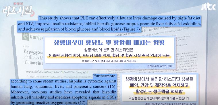 상황버섯 현미쌀-당뇨개선-항암효과