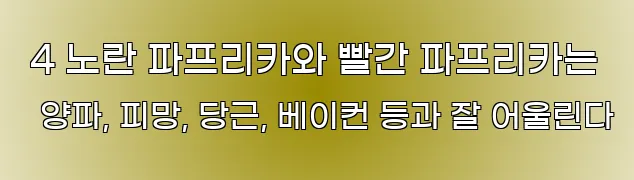  4 노란 파프리카와 빨간 파프리카는 양파, 피망, 당근, 베이컨 등과 잘 어울린다