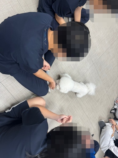 효정중학교 이미지