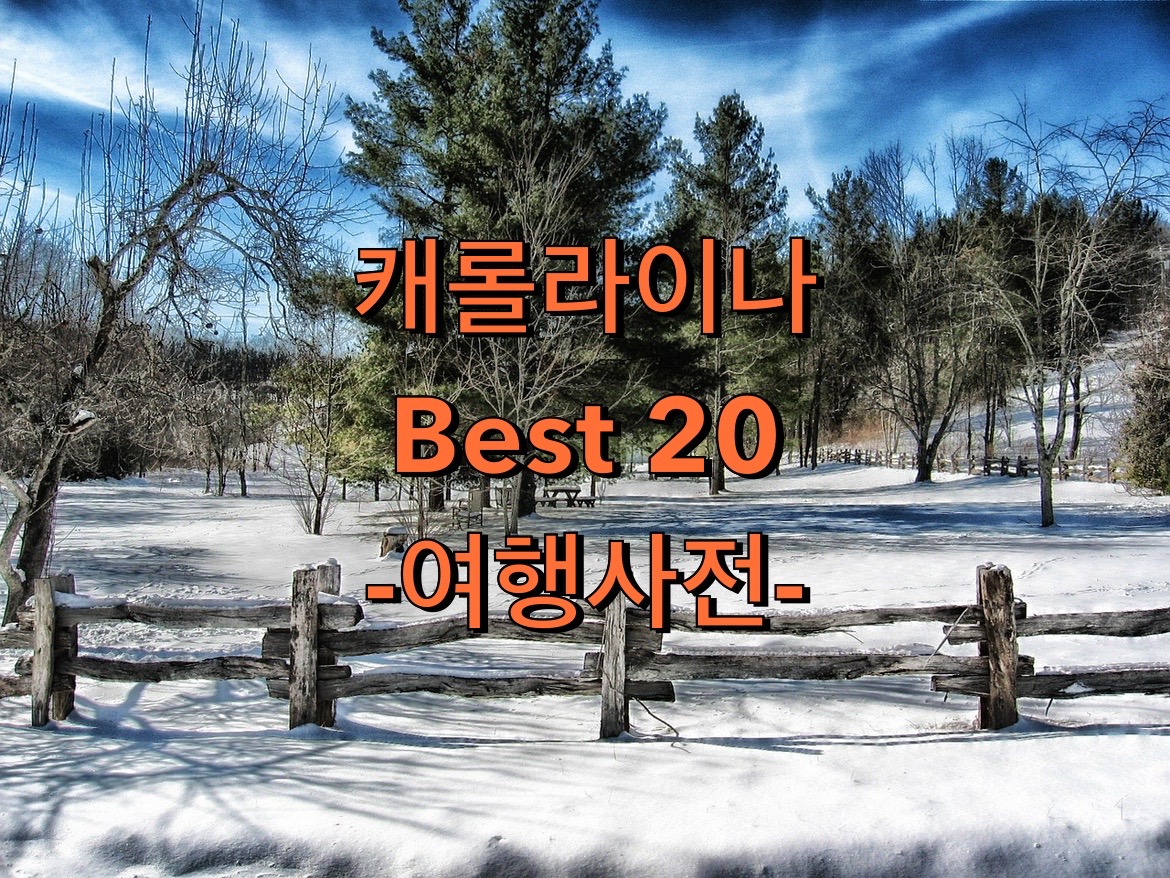  미국 사우스캐롤라이나 여행지 추천!