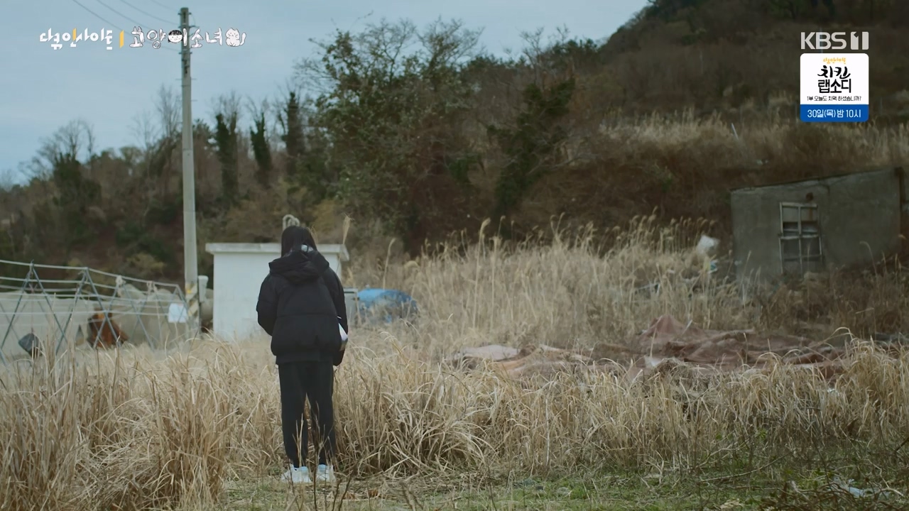 다큐 인사이트.E189.240524p-NEXT.mp4_20240524_205103.649.jpg