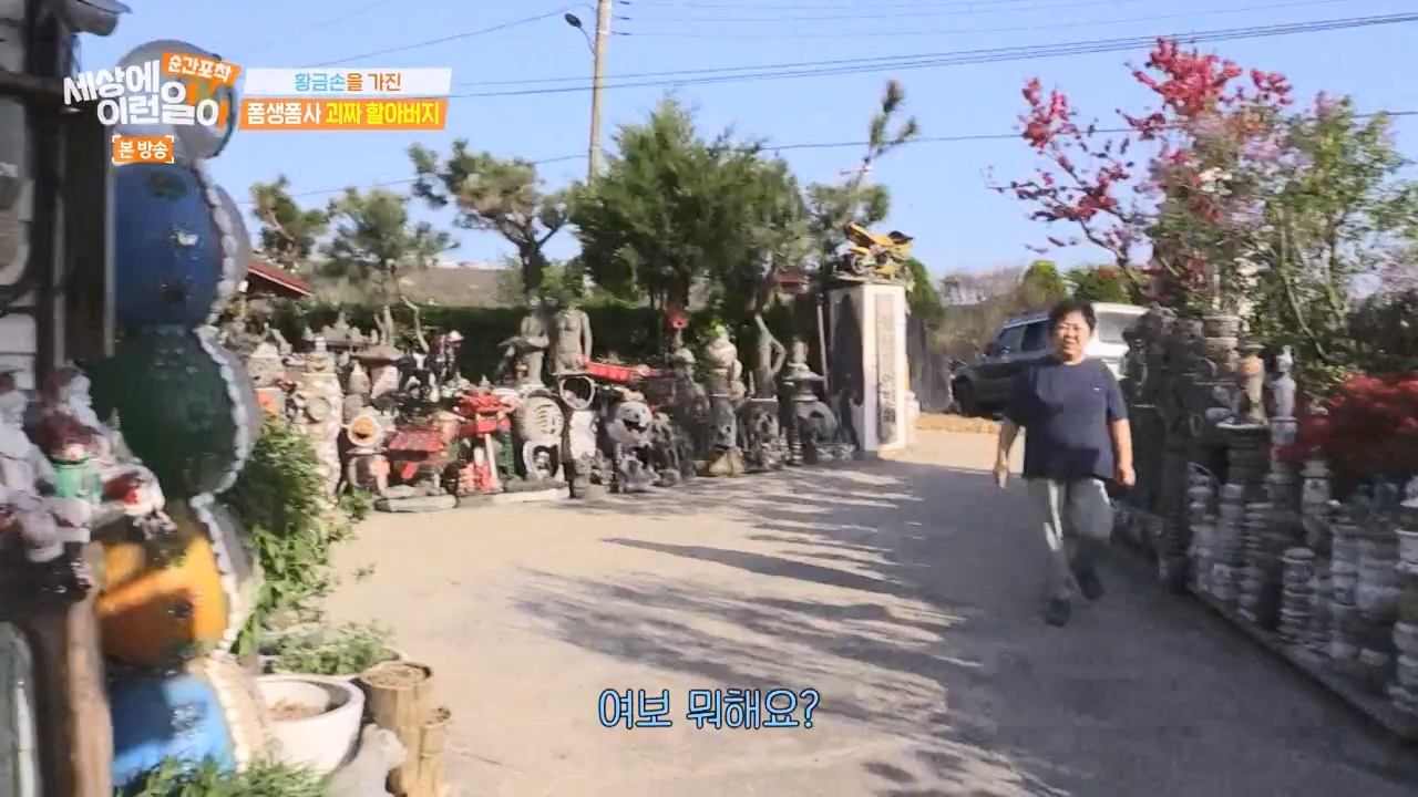순간포착 세상에 이런일이.E1276.240505p-NEXT.mp4_20240505_151210.146.jpg