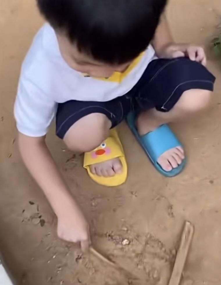 img.jpg