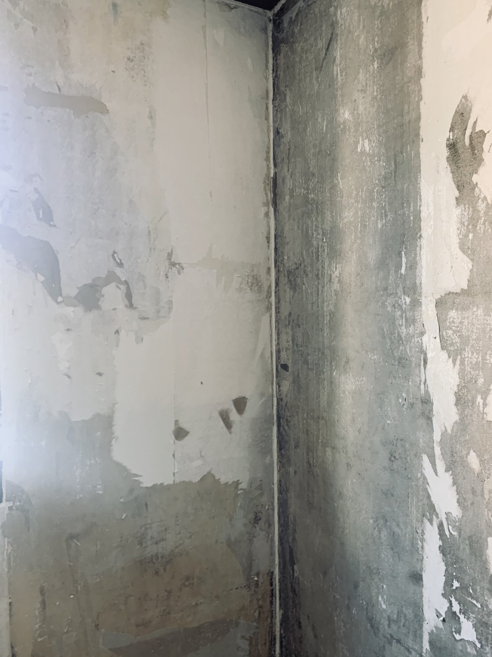 벽지곰팡이 제거 5