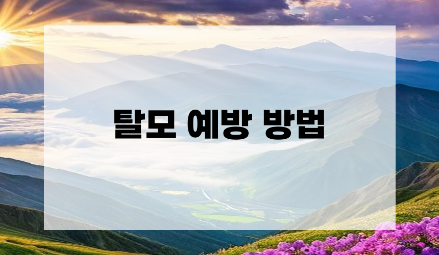탈모 예방 방법