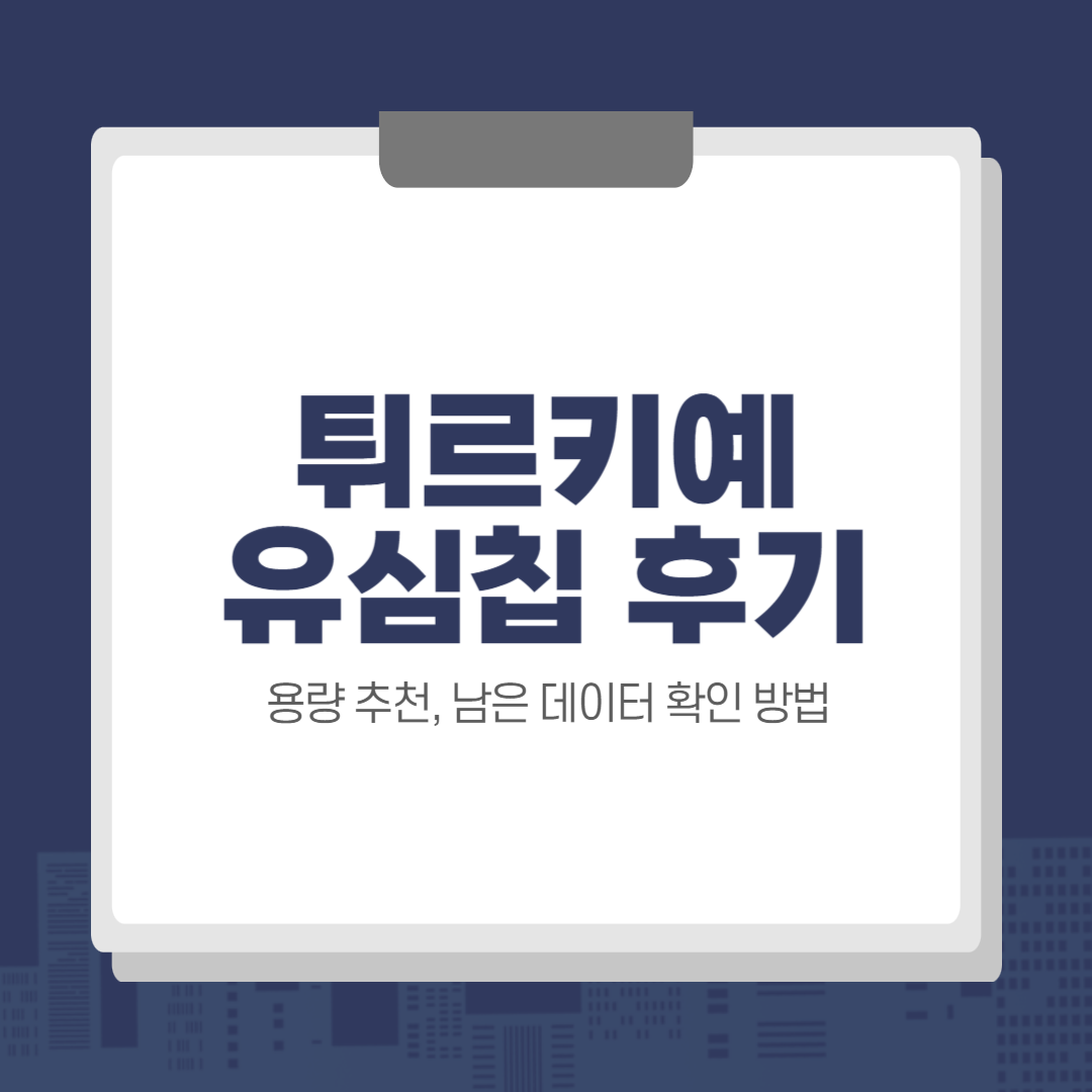 튀르키예 여행 유심칩