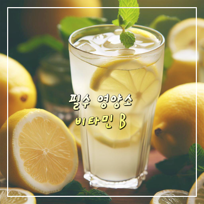 비타민B_레몬에이드