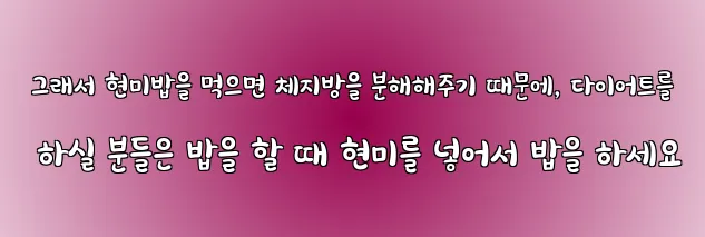  그래서 현미밥을 먹으면 체지방을 분해해주기 때문에, 다이어트를 하실 분들은 밥을 할 때 현미를 넣어서 밥을 하세요