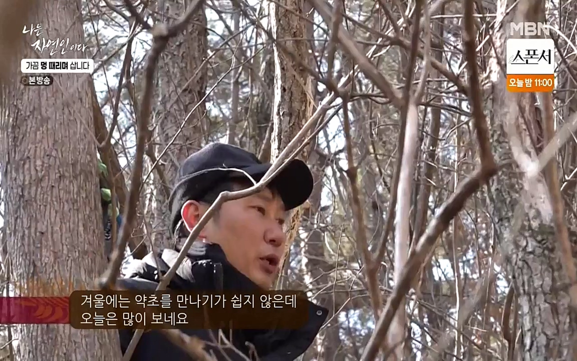 나는 자연인이다.E493.220317p-NEXT.mp4_20220317_172911.169.jpg