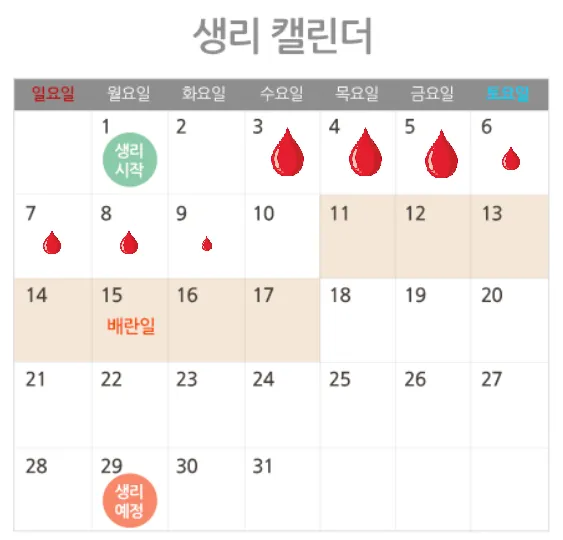 생리전 생리후 임신가능성 배란일 확인_2