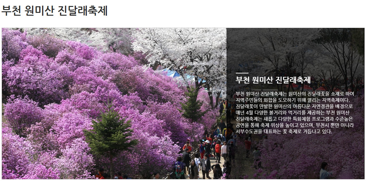 2025년 진달래 개화시기, 꽃말 알아보기