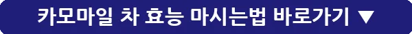 카모마일 차 효능 마시는법_19