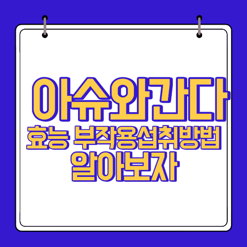  아슈와간다  효능 부작용 알고 섭취하자