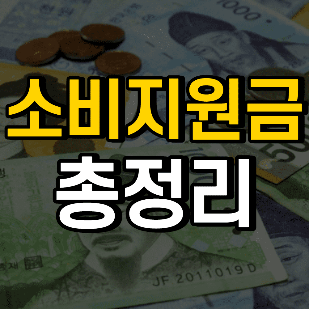 소비지원금-썸네일