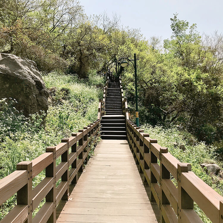 천제연폭포로-가는-가파른-계단길