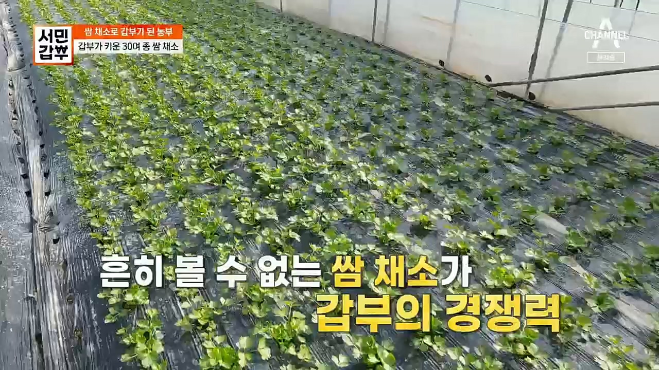 서민갑부.E415.221225p.H264-F1RST.mp4_20221226_195800.541.jpg