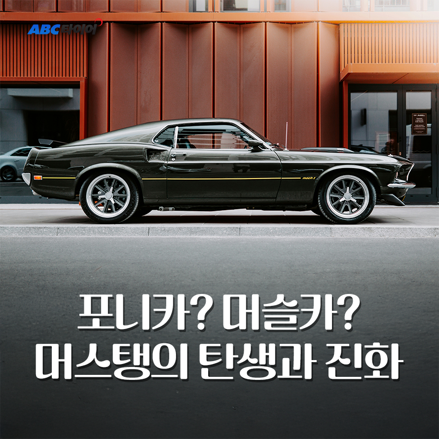 카스토리 이미지