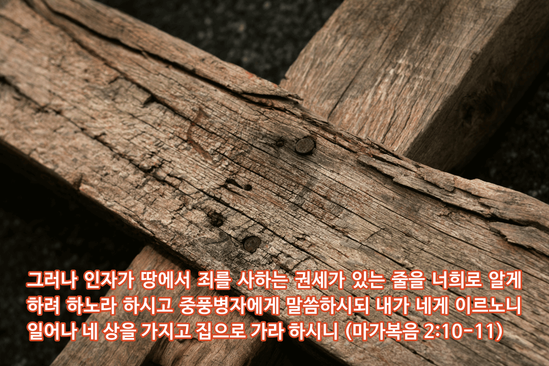 매일성경 ❘ 마가복음 2장 1-12절 ❘ 문제 해결과 죄 사함, 예수님께서 누구신지를 알아야 함