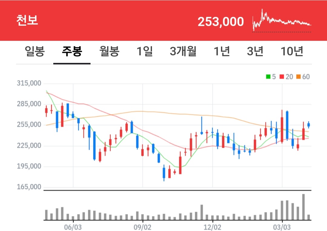 천보 주식 차트