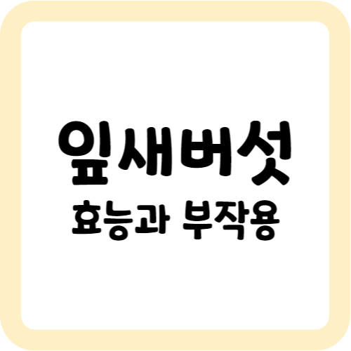 잎새버섯의 효능과 부작용