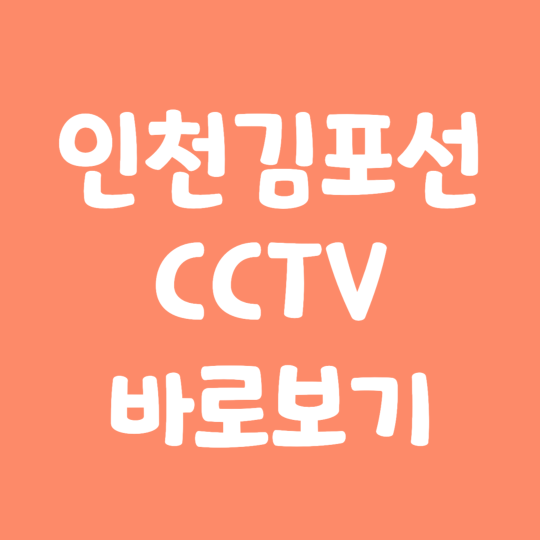 실시간 인천김포선 CCTV 바로보기