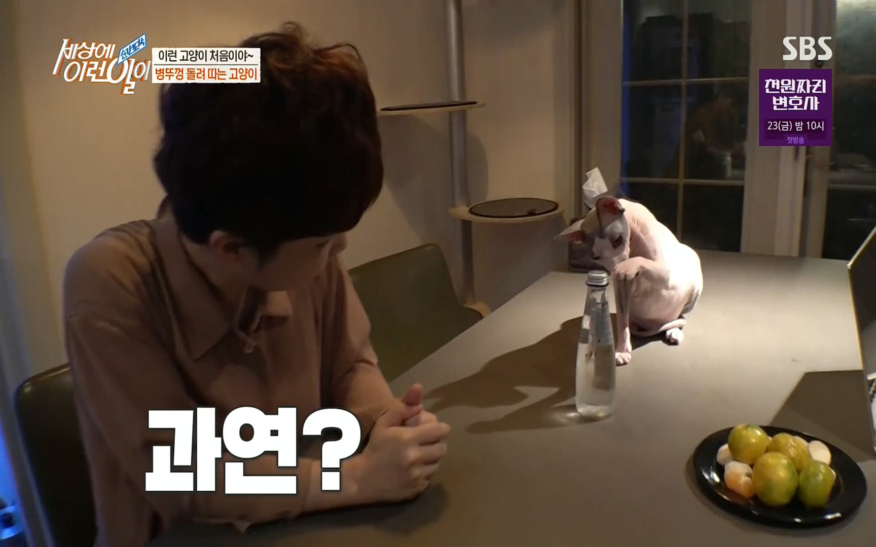 순간포착 세상에 이런일이.E1197p.H264-F1RST.mp4_20220914_202412.389.jpg