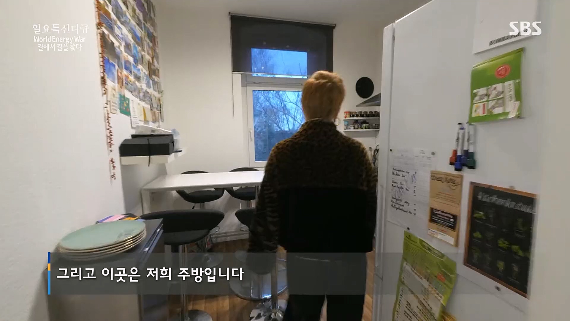 일요 특선 다큐멘터리.E302.230122p.H264-F1RST.mp4_20230129_182522.646.jpg