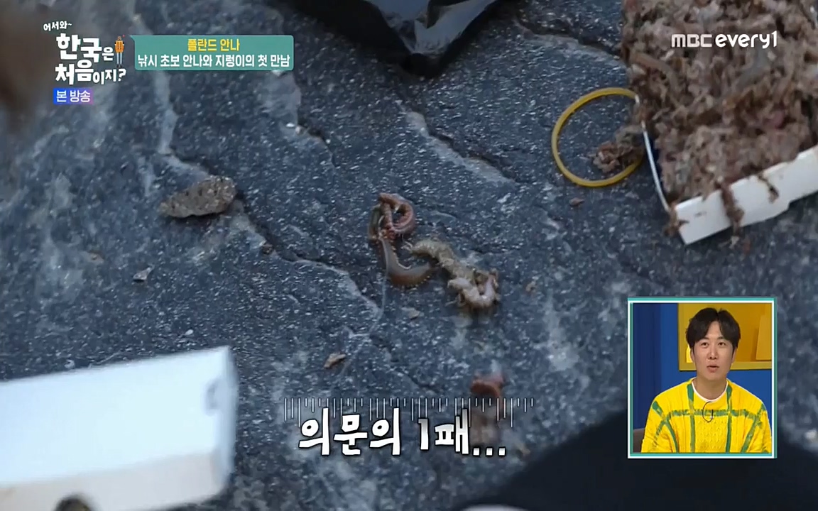 어서와 한국은 처음이지 시즌2.E210.220513p-NEXT.mp4_20220513_200107.278.jpg