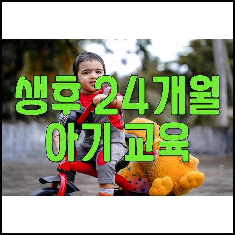  생후 24개월 아기 발달 및 육아 교육(식습관, 아기의 자존심, 소유욕)