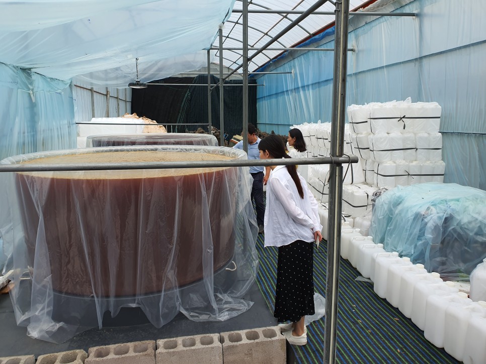 공동구매 알림 [부산베리팜] [공지] [2022년도] 블루미인*자농CPK 3