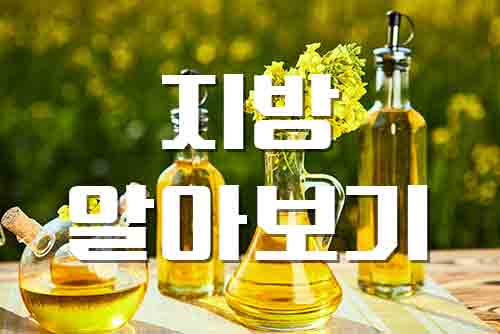  지방, 우리 몸에 필요한 좋은 지방 알아보기