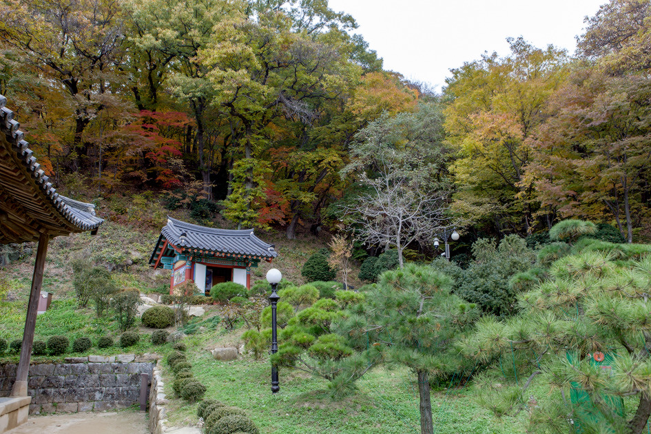 팔령 팔우회 2016 가을나들이 2 (2016-11-09) 85