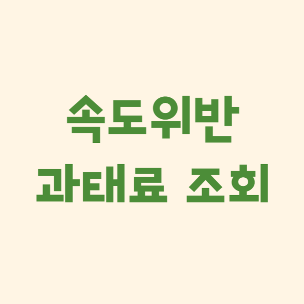 과태료 조회