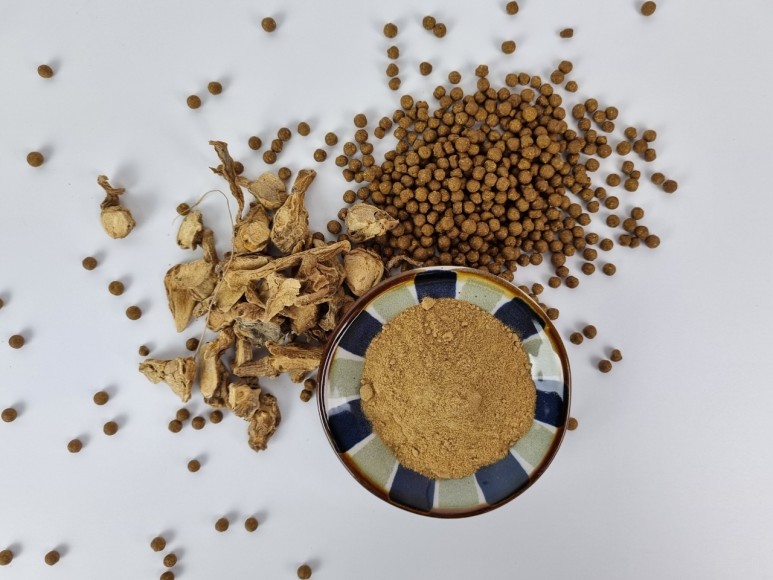 핑거루트 효능 판두라틴 건재 4