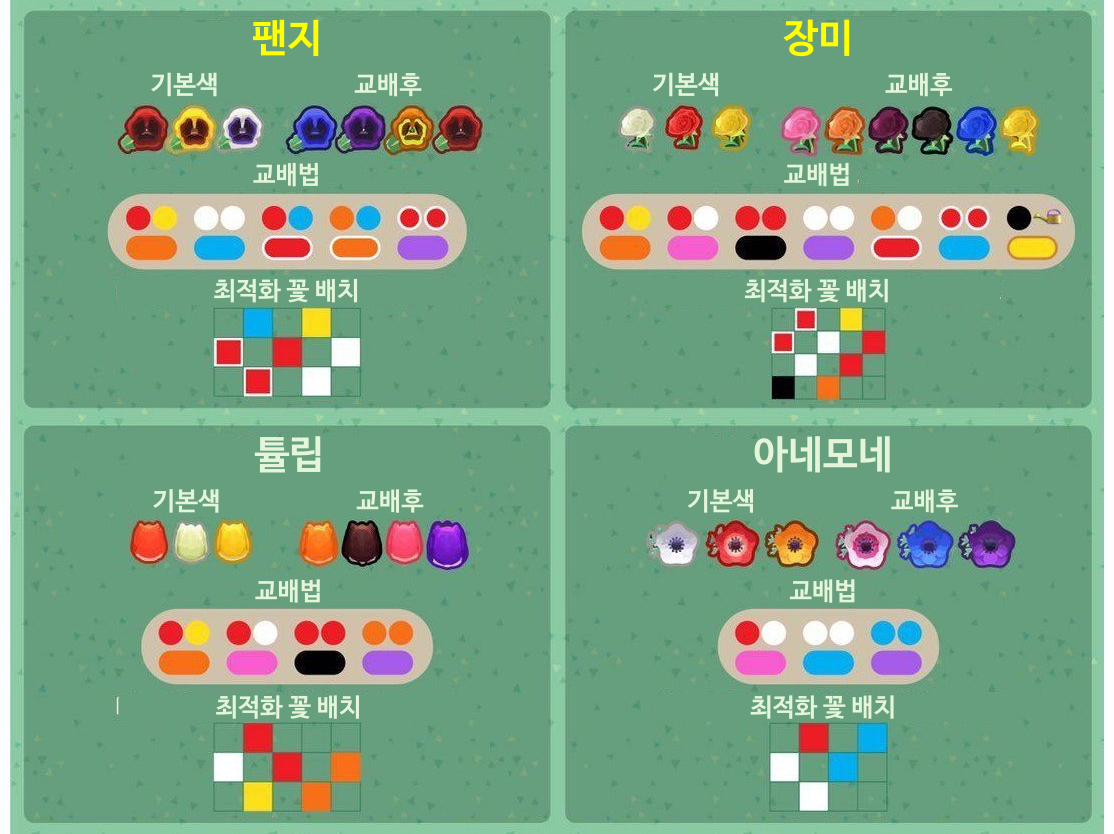 모동숲 꽃교배 '꽃심기 최적화' 단기간 교배꽃 얻는법 (파란장미, 보라팬지, 보라 아네모네)