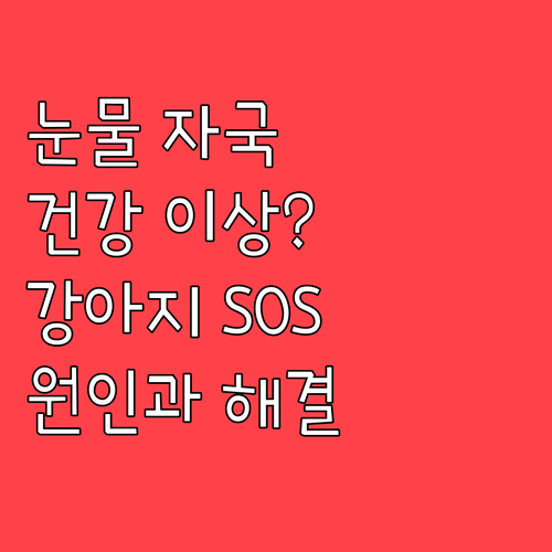 강아지 눈물 자국 건강 이상 신호일 