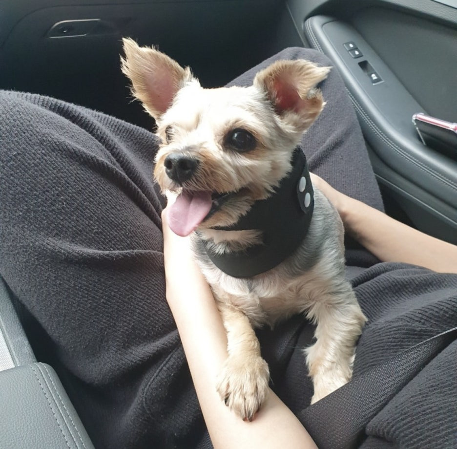 루세떼 이미지