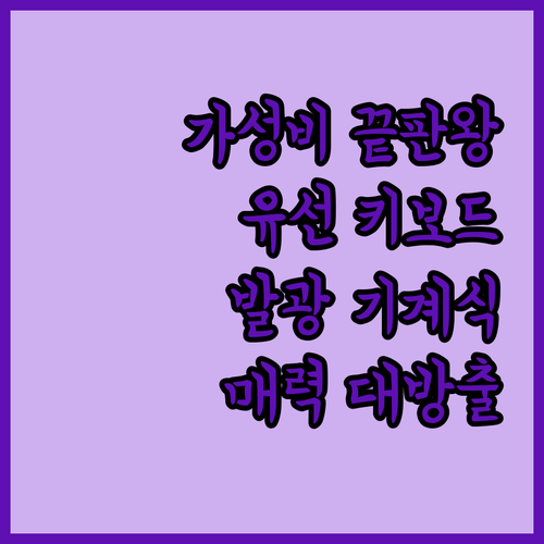 가성비 끝판왕 유선 키보드 마우스 세