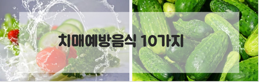  치매예방음식 10가지