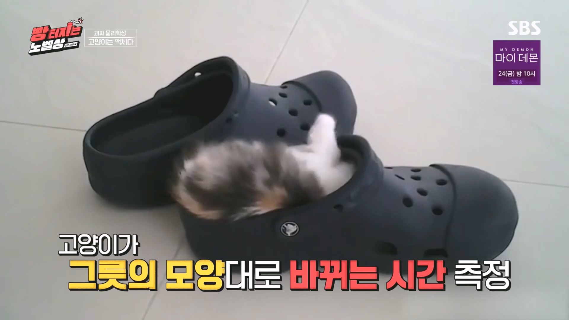 SBS 스페셜.E658.231105p.H264-F1RST.mp4_20231106_201726.867.jpg