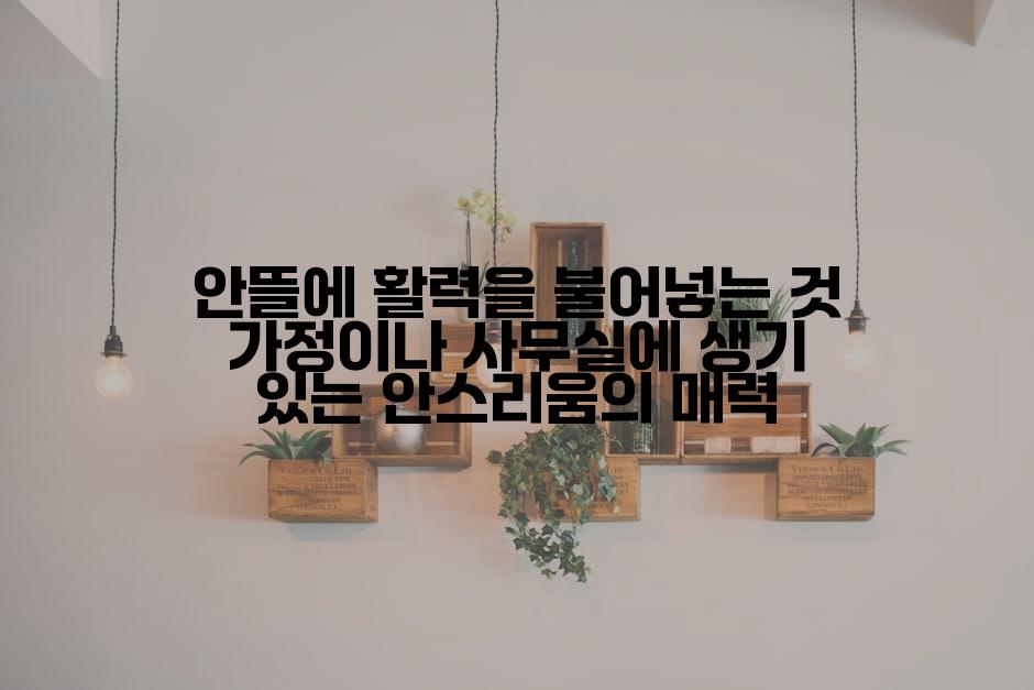 안뜰에 활력을 불어넣는 것 가정이나 사무실에 생기 있는 안스리움의 매력