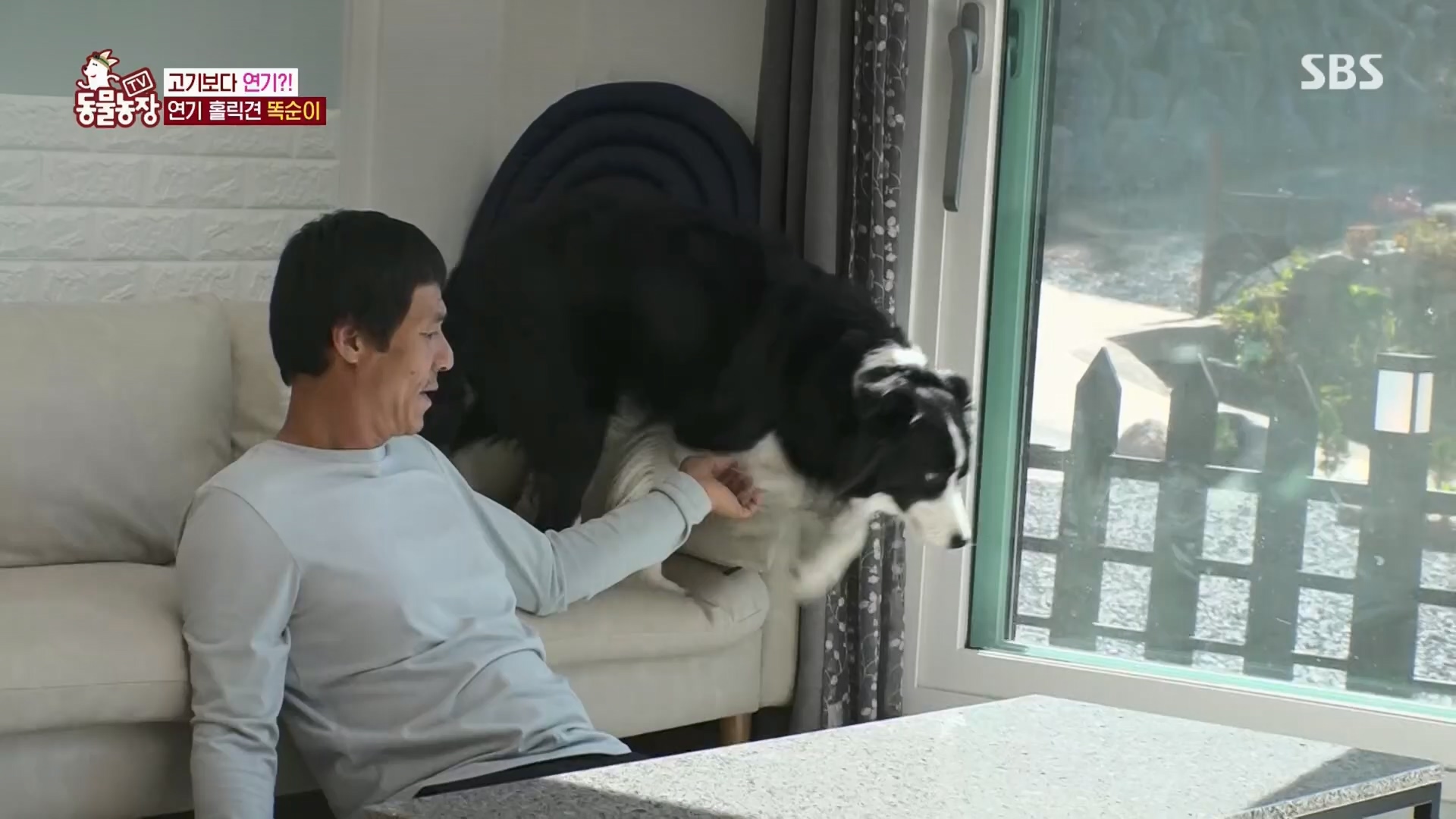 TV 동물농장.E1148.231203p.H264-F1RST.mp4_20231203_181430.491.jpg