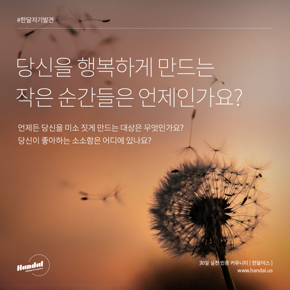  Day 15. 나를 행복하게 하는 작지만 소중한 순간들