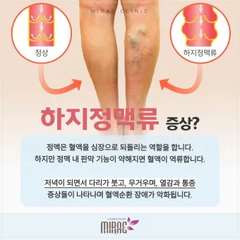 하지 날짜 24절기 망종 소서 전통음식까지_5