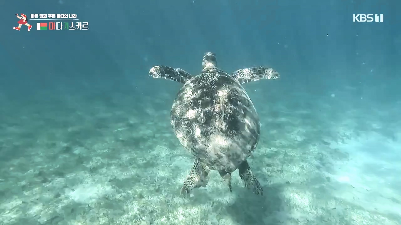 걸어서 세계속으로.E814.231022p-NEXT.mp4_20231022_170331.997.jpg