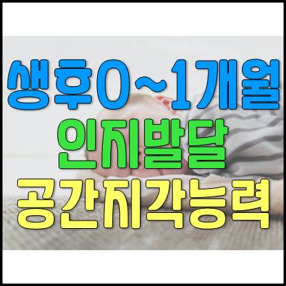  생후 0~1개월 신생아 발달 : 인지 발달, 공간지각능력