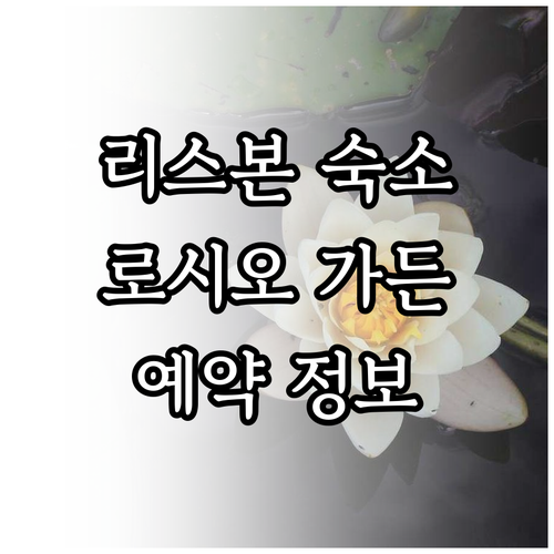 리스본 숙소 추천 로시오 가든 호텔 